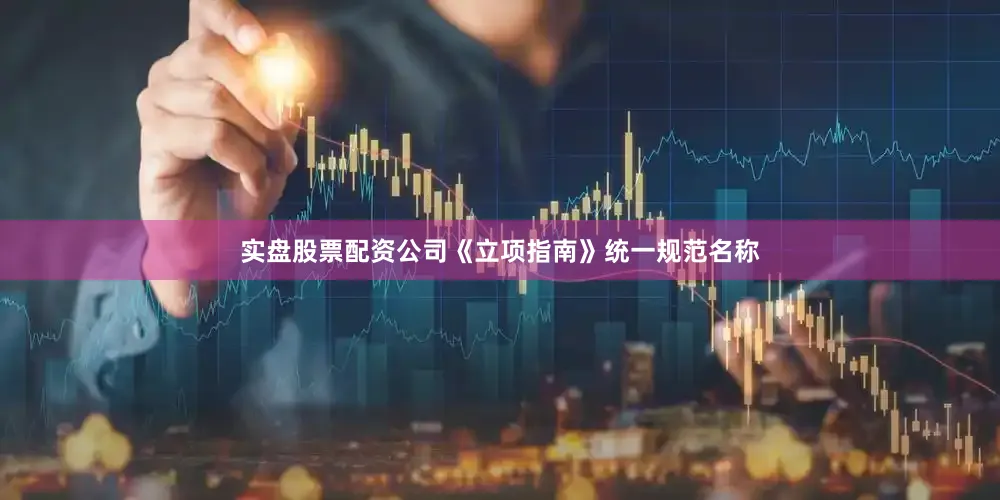 实盘股票配资公司《立项指南》统一规范名称