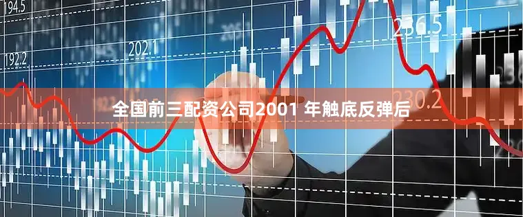 全国前三配资公司2001 年触底反弹后