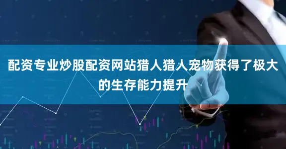 配资专业炒股配资网站猎人猎人宠物获得了极大的生存能力提升