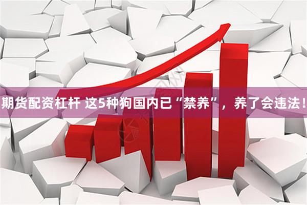 期货配资杠杆 这5种狗国内已“禁养”，养了会违法！