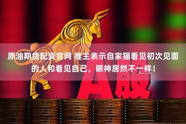 原油期货配资官网 推主表示自家猫看见初次见面的人和看见自己，眼神居然不一样！